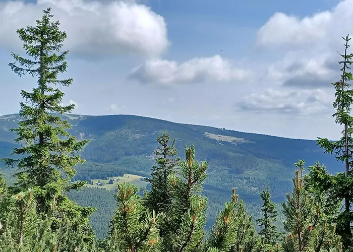 Happy Hill By Interhome Černý Dŭl